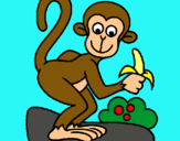 Dibuix Mono pintat per quina gana