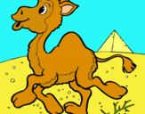 Dibuix Camell pintat per Martina