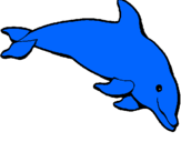 Dibuix Dofí content pintat per tania  chover