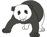 Dibuix Ós panda pintat per laura
