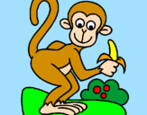 Dibuix Mono pintat per mayte
