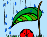 Dibuix Marieta de set punts protegida de la pluja  pintat per JoanMC