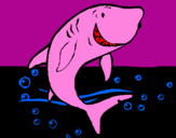 Dibuix Tiburón pintat per elisaos