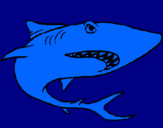 Dibuix Tiburón pintat per uytgh