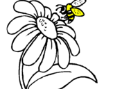 Dibuix Margarida amb abella pintat per marina
