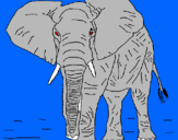 Dibuix Elefant pintat per nikolay