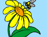 Dibuix Margarida amb abella pintat per SILVIA