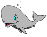Dibuix Balena tímida pintat per balena carolina