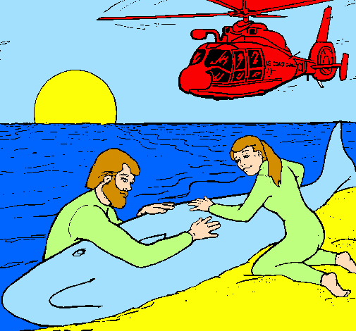 Dibuix Rescat de balena pintat per marta