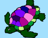 Dibuix Tortuga pintat per nuria