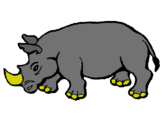 Dibuix Rinoceront pintat per guillem