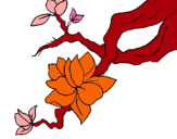 Dibuix Flor d'ametller pintat per marta g