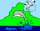 Dibuix Dofí i gavina pintat per nuria