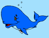 Dibuix Balena tímida pintat per elisa