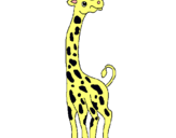 Dibuix Girafa pintat per mònica