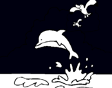 Dibuix Dofí i gavina pintat per laura costa