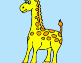 Dibuix Girafa pintat per jirafa