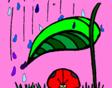Dibuix Marieta de set punts protegida de la pluja  pintat per ESTEL