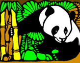 Dibuix Ós Panda i Bambú pintat per berta camprubí