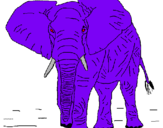 Dibuix Elefant pintat per maxim