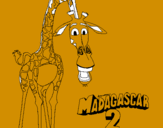 Dibuix Madagascar 2 Melman pintat per maria
