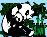 Dibuix Mare Panda pintat per comagui