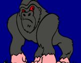 Dibuix Goril·la pintat per miquelet