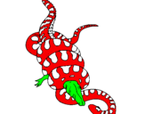 Dibuix Anaconda i caiman pintat per marcel andreu