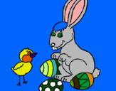 Dibuix Pollet, conillet i ous pintat per   Bona asqua. Jhon 