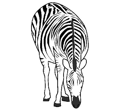Dibuix Zebra pintat per  mar