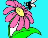 Dibuix Margarida amb abella pintat per flos