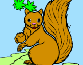Dibuix Esquirol pintat per didac