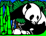 Dibuix Ós Panda i Bambú pintat per cristian