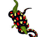 Dibuix Anaconda i caiman pintat per oriol
