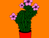 Dibuix Flors de cactus pintat per núria
