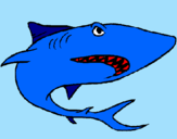Dibuix Tiburón pintat per marina 4TA