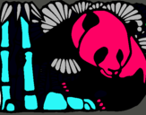 Dibuix Ós Panda i Bambú pintat per guillem
