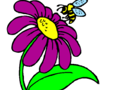 Dibuix Margarida amb abella pintat per bhyyvyh
