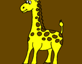 Dibuix Girafa pintat per jose