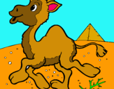 Dibuix Camell pintat per jose mª