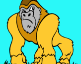 Dibuix Goril·la pintat per NIL PARRA
