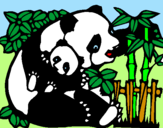 Dibuix Mare Panda pintat per Núria!!