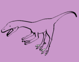 Dibuix Velociraptor II  pintat per alex