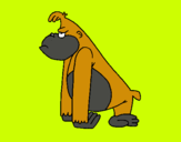 Dibuix Mono enfadat pintat per jose