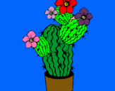Dibuix Flors de cactus pintat per júlia