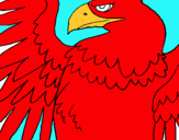 Dibuix Àguila Imperial Romana pintat per pere