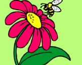 Dibuix Margarida amb abella pintat per sandra