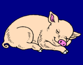 Dibuix Porc dormint pintat per marçal