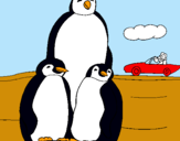 Dibuix Família pingüí  pintat per alba