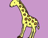 Dibuix Girafa pintat per maria